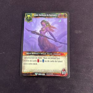 Jasani , Shrine keeper