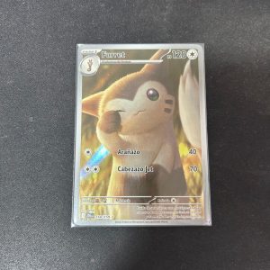 Furret - rare illustration