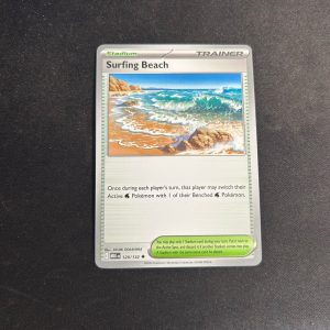 Surfing beach