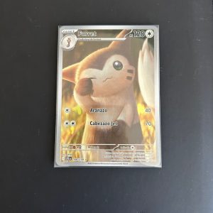 Furret Ilustracion rara